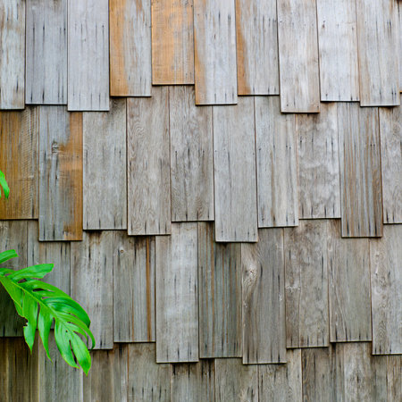 old wooden wall  background with leafの写真素材