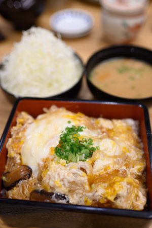 Beef Rice Bowlの写真素材