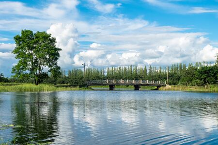 the bridgeの写真素材