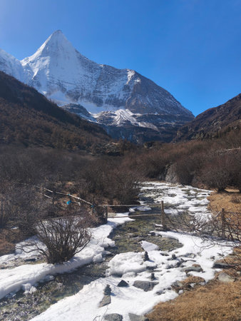 Beautiful nature and landscapes such as Snow mountains and meadows.の写真素材