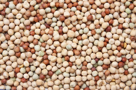 String beansの写真素材