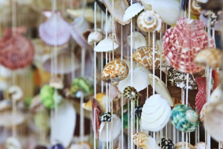 Hanging wind chime made from fishing line and shells の写真素材