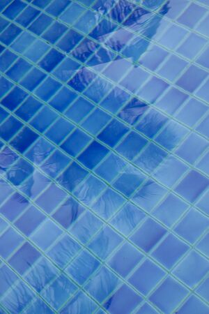 Background of water in a blue swimming pool with tree reflectionの写真素材