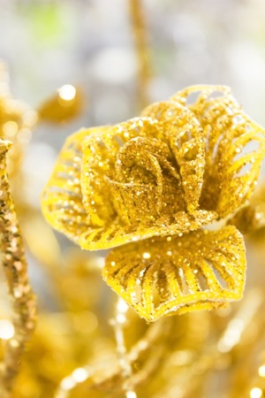 Beautifully gold rose is shiningの写真素材