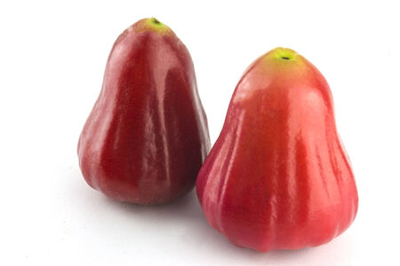 Rose apple isolated on the white background.の写真素材