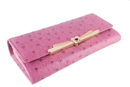 Wallet, Woman or lady wallet on the background の写真素材