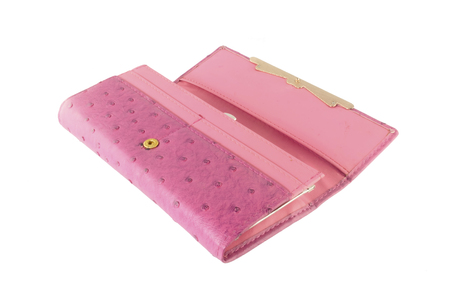 Wallet, Woman or lady wallet の写真素材