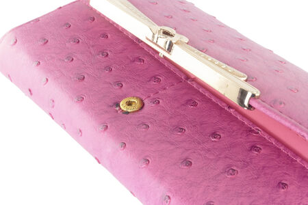 Wallet, Woman or lady walletの写真素材