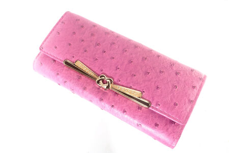 Wallet, Woman or lady wallet の写真素材