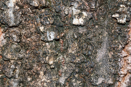 Old wall texture grunge background and black vignette.の写真素材