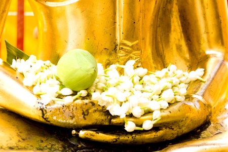 Flower on hand fo buddha statue in temple at Chiang mai, Thailand の写真素材