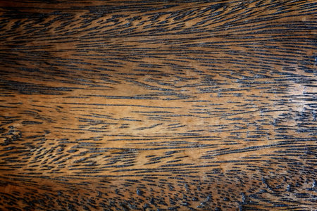 Old Wood Tree Texture Background Patternの写真素材