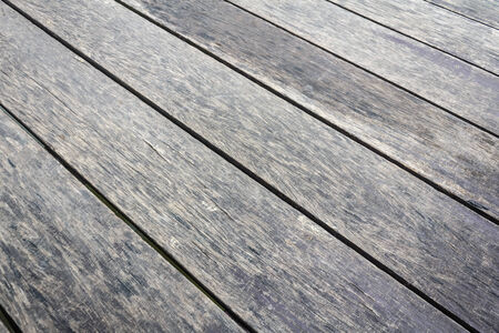 Old Wood Tree Texture Background Patternの写真素材