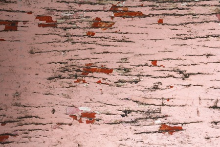 Wooden texture background, Old wood tee texture background pattern.の写真素材