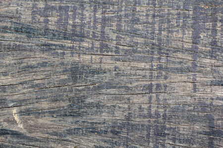 Wooden texture background, Old wood tee texture background pattern.の写真素材