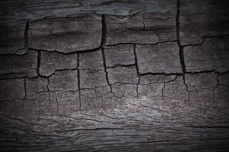 Wooden texture background, Old wood tee texture background pattern.の写真素材