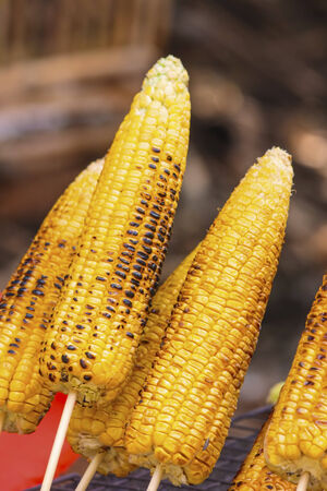 Grilled corn, Corn on the Cob grilling, Vegetables grilled corn on the hot stove.の写真素材