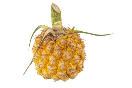 Pineapple, Closeup of sweet pineapple on white background.の写真素材