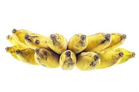 Bananas, Cultivated Banana, Thai cultivated banana, Thai bananas on on white background.の写真素材