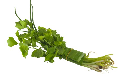 Celery and Spring onion isolated on white background.の写真素材