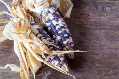 Corn, Fresh corn on wooden background.の写真素材