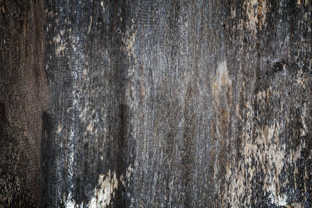 Wooden texture background, Old wood tee texture background pattern.の写真素材