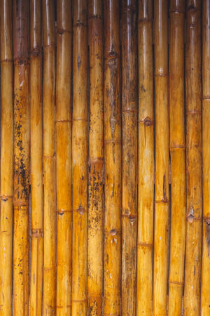 Vintage bamboo wall texture with natural pattern.の写真素材