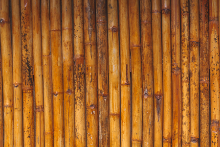 Vintage bamboo wall texture with natural pattern.の写真素材