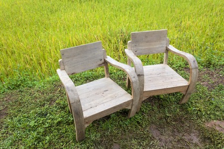 Wooden chairs with the rice field background in countryside at Chiang Mai, Thailandの写真素材