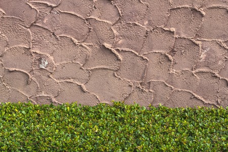 Stone wall texture の写真素材