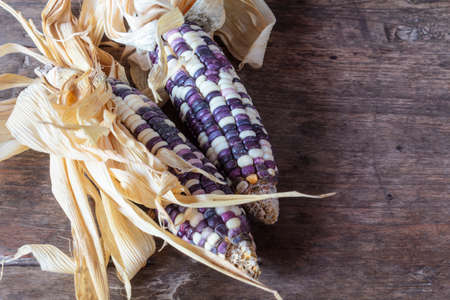 Corn. Fresh corn on wooden background.の写真素材