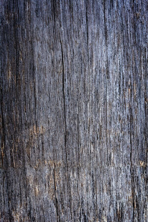 Old vintage wood tee texture background pattern.の写真素材