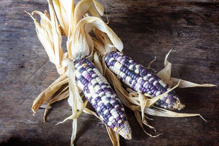 Corn. Fresh corn on wooden background.の写真素材