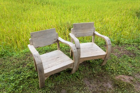 Wooden chairs with the rice field background in countryside at Chiang Mai, Thailandの写真素材