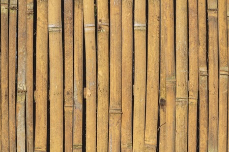 Vintage bamboo wall texture with natural pattern.の写真素材