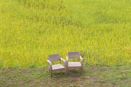 Wooden chairs with the rice field background in countryside at Chiang Mai, Thailandの写真素材