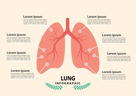 Lung organ anatomy symbol for health and medical illustrations. vector, illustration.のイラスト素材