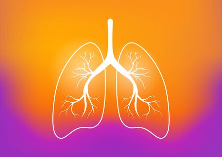 Lung organ anatomy symbol for health and medical illustrations. vector, illustration.のイラスト素材