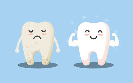 Tooth cleaning. Teeth characters before and after whitening. Cartoon tooth before and after cleaning or whitening or dental procedures. Vector, illustration, eps, flat design, cartoonのイラスト素材