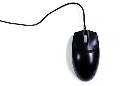 mouse