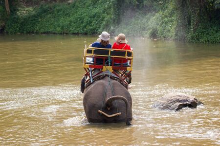 Lampang Thailand  April 15, 2016 : Thailand Elephant Conservation Centre  -  Activities Elephant Bath   Elephant Bath  Naturally, like an elephant bath for coolingの写真素材