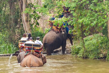 Lampang Thailand April 15, 2016 : Tourism riding elephant walking in the river at The Thai Elephant Conservation Centerのeditorial素材
