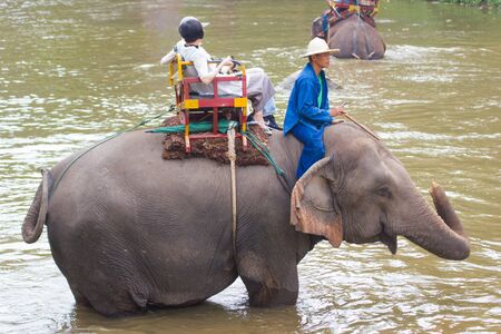 Lampang Thailand  April 15, 2016 : Thailand Elephant Conservation Centre  -  Activities Elephant Bath   Elephant Bath  Naturally, like an elephant bath for coolingのeditorial素材