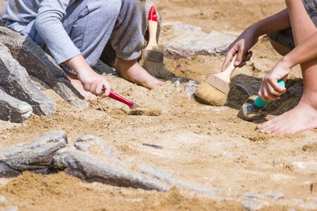Children are learning dinosaur remains, Excavating dinosaur fossils simulation in the park.の写真素材