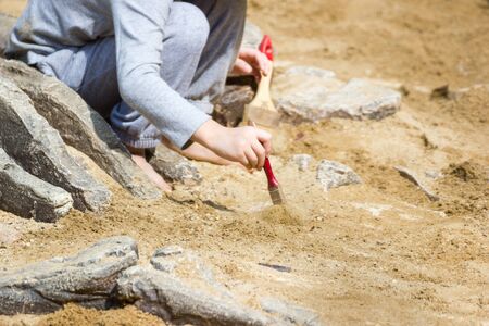Children are learning dinosaur remains, Excavating dinosaur fossils simulation in the park.
