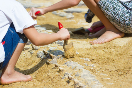 Children learning about, Excavating dinosaur fossils simulation in the park.