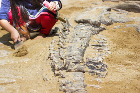 Children learning about, Excavating dinosaur fossils simulation in the park.の写真素材