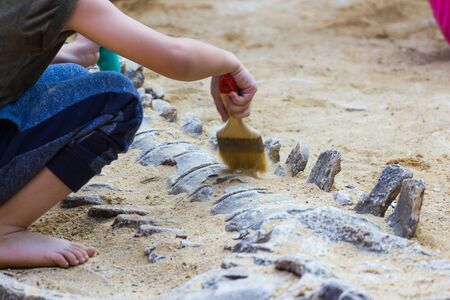 Children are learning history dinosaur, Excavating dinosaur fossils simulation in the park.の写真素材