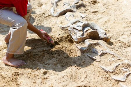 Children learning about, Excavating dinosaur fossils simulation in the park.の写真素材