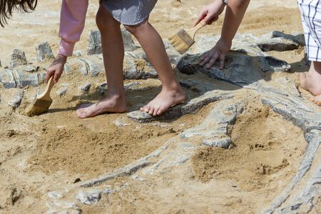 Children are learning history dinosaur, Excavating dinosaur fossils simulation in the park.の写真素材
